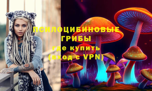 гашик Мегион