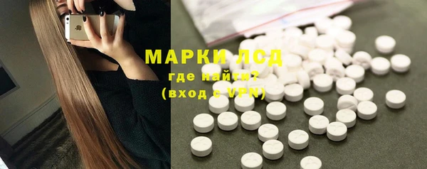 гашик Мегион