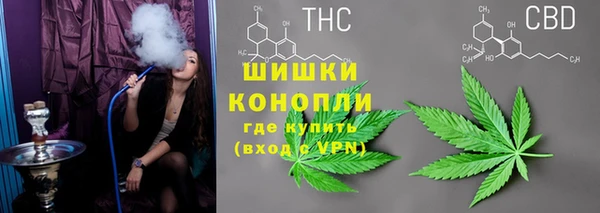 гашик Мегион