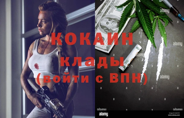 гашик Мегион