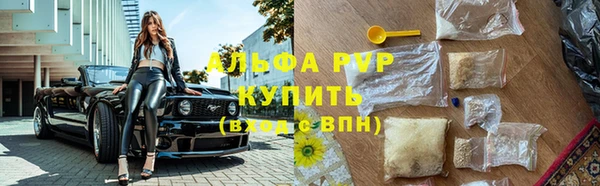 гашик Мегион