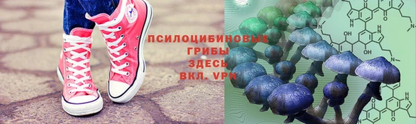 гашик Мегион