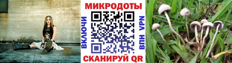 Псилоцибиновые грибы Psilocybine cubensis  купить   omg как войти  Слюдянка 